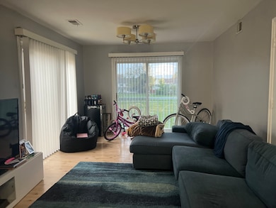 unlisted-address, Hoffman Estates, IL 60169 - photo 3