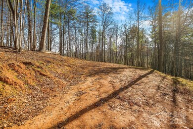 148 Fish Pond Ln, Burnsville, NC 28714 - photo 5