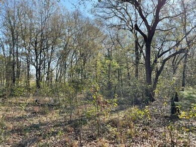 232 SW Stell Glen, Lake City, FL 32024 - photo 6