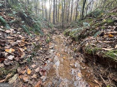 0 Oconee Rd Lot 4, Buckhead, GA 30625 - photo 2