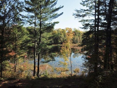 7129 Ccc Rd, Danbury, WI 54830 - photo 5