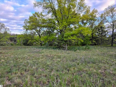 Cedar and W 12th St, Evart, MI 49631 - photo 3