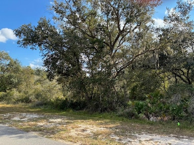 Lot 14, Block 75 Park Ave, Lake Wales, FL 33855 - photo 2