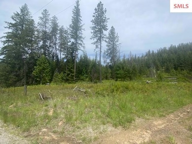 NNA (7800) 20 Ac Blue Lake Rd, Priest River, ID 83856 - photo 7