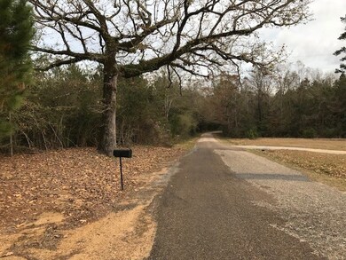 000 Airport Rd, Tylertown, MS 39667 - photo 2