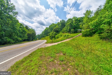 6439 S Chestatee, Dahlonega, GA 30533 - photo 3