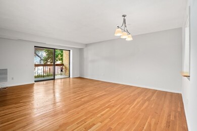 41 Centre St unit 203, Brookline, MA 02446 - photo 3