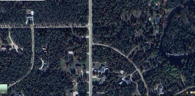 11030 S Stephan Aerial