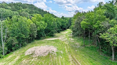 42.83 acres Rose Trail, Melbourne, AR 72556 - photo 7