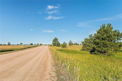 18150 Pinon Park Rd unit 199, Peyton, CO 80831 - photo 6