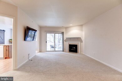 14 Bandon Ct unit 203, Lutherville Timonium, MD 21093 - photo 2