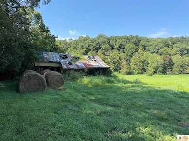 0 Pickett Mell Rd, Columbia, KY 42728 - photo 2