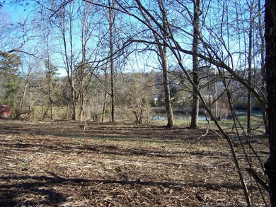 00 Luke Powell Rd NW, Dalton, GA 30720 - photo 7