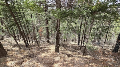 Lots2,3,9,10 Henry Summit Dr unit 23910, High Rolls, NM 88317 - photo 7