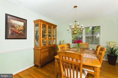 917 Emerald Dr, Alexandria, VA 22308 - photo 7