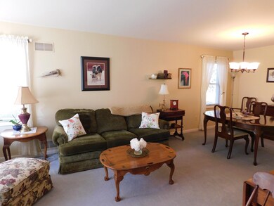 113 W Ann St, Milford, PA 18337 - photo 7