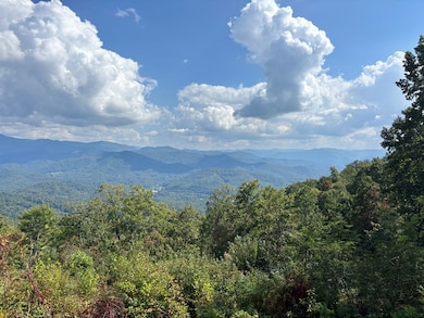 1887 Monteith Branch Rd, Sylva, NC 28779 - photo 4