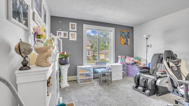 Living Room 1-1