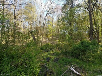 16870 Cannons Mill Rd, East Liverpool, OH 43920 - photo 5