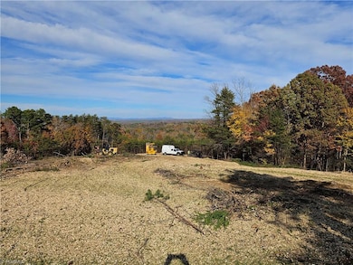 00 Whitaker Chapel Rd unit 10, Pilot Mountain, NC 27041 - photo 6