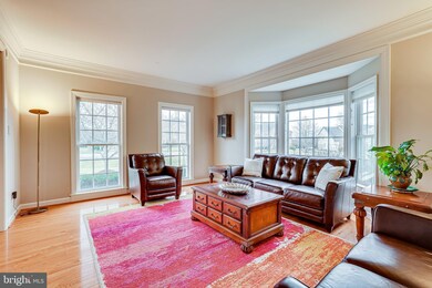 22046 Auction Barn Dr, Ashburn, VA 20148 - photo 7