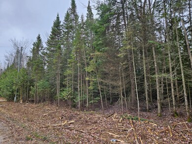 Cedar Property 2