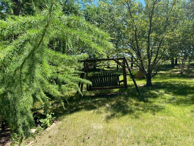 front yard