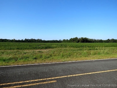 TBD Cowpen Swamp Rd, Fairmont, NC 28340 - photo 3