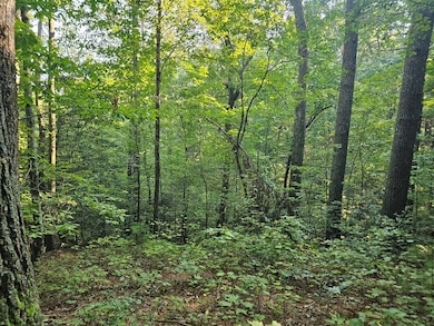 0 Bates Dr unit 418359, Ellijay, GA 30540 - photo 2