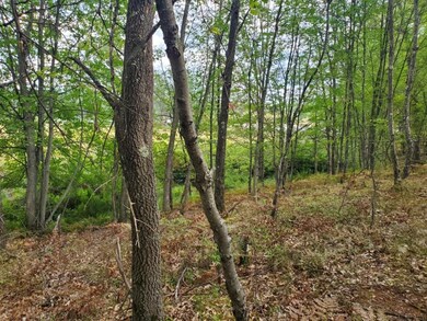 00 N Beaver Trail, Lilley Township, MI 49309 - photo 4