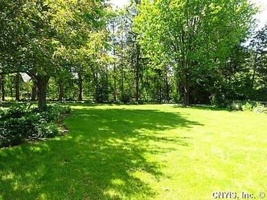 Exterior Front backyard