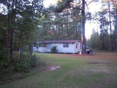 View from road end