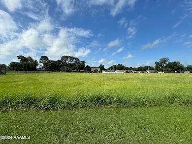 821 W Summers Hwy 14 Dr, Abbeville, LA 70510 - photo 2