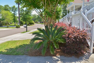 Front Yard (1 of 1)