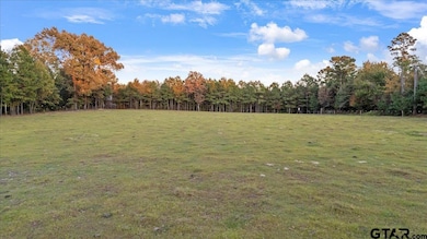 367 County Road 25, Tyler, TX 75705 - photo 5