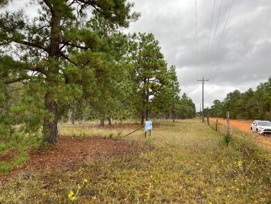Powerline along county road