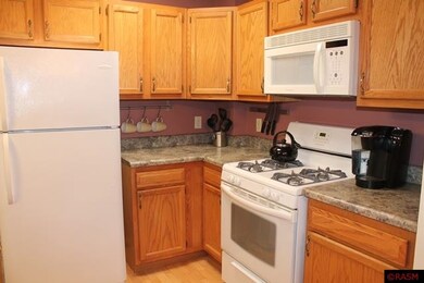 823 Baker Ave, Mankato, MN 56001 - photo 4