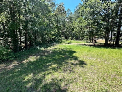 00 Sorin Cir, Elloree, SC 29047 - photo 3