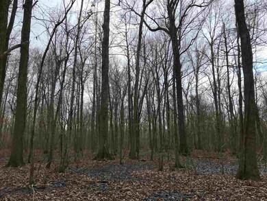 000 Highway 61, Rolling Fork, MS 39159 - photo 4