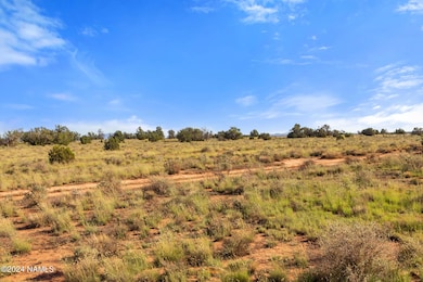 749 N Northland Rd unit C, Valle, AZ 86046 - photo 6