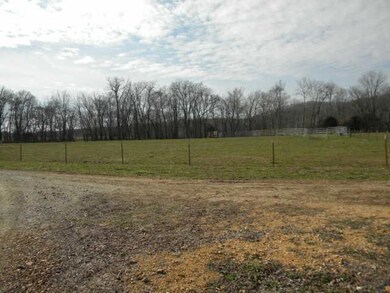 3599 Phillips Chapel Rd, Waynesboro, TN 38485 - photo 5