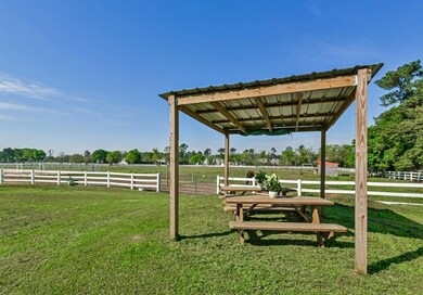 25630 Hufsmith Cemetery Rd, Tomball, TX 77375 - photo 3