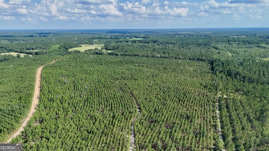 0 Penny Morris Rd, Baxley, GA 31513 - photo 2