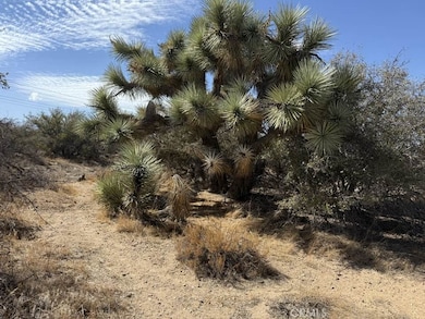 8135 Joshua St, Phelan, CA 92371 - photo 7