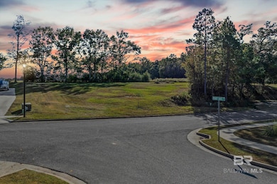 0 Acorn Way unit 388070, Grand Bay, AL 36541 - photo 4