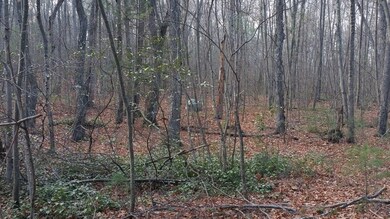 Lot 1 Daniels Rd, Charlton, MA 01507 - photo 4