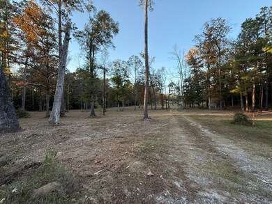 395 Texas 63, Burkeville, TX 75932 - photo 3