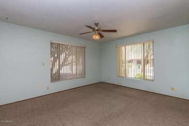 1737_S_Cholla_02