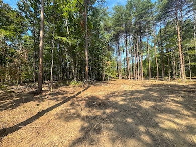 0 Richard Dorning Rd unit Lot001 24538016, Kimmins, TN 38462 - photo 7