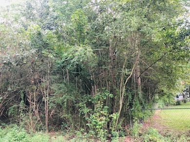 NHN Katie Beck Dees Street Lot 3 4 & 5, Picayune, MS 39466 - photo 2